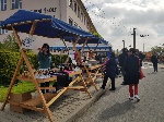 9. Stánky